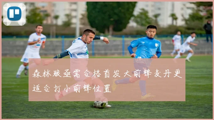 森林狼亟需合格首发大前锋麦丹更适合打小前锋位置