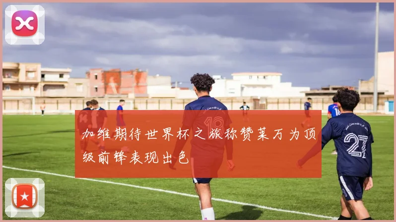 加维期待世界杯之旅称赞莱万为顶级前锋表现出色