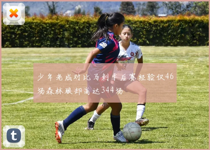 少年老成对比马刺季后赛经验仅46场森林狼却高达344场